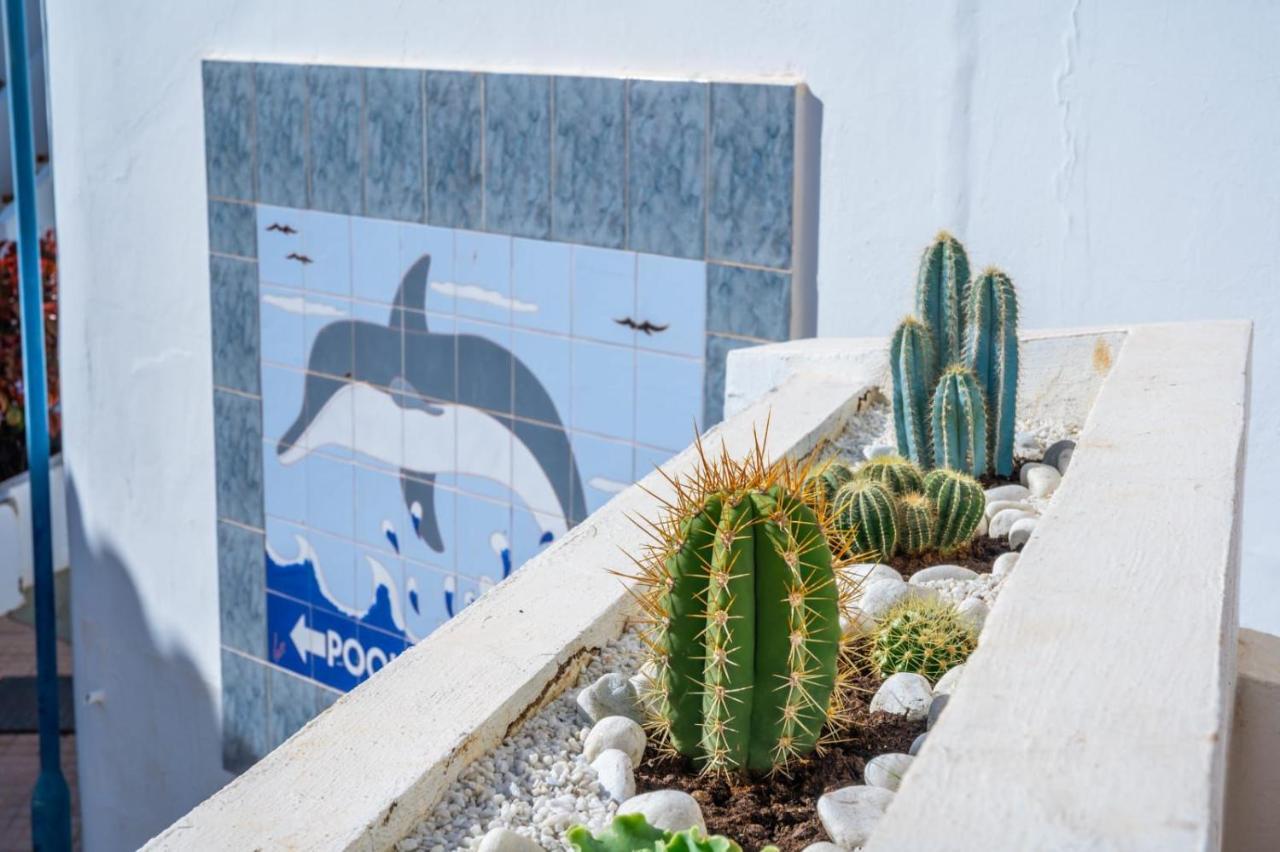 1013 Studio Garden City Playa Feñabe Eksteriør bilde